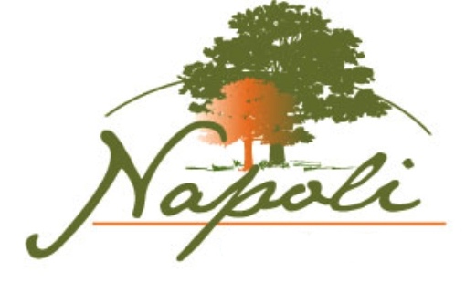 Napoli Subdivision Meridian ID